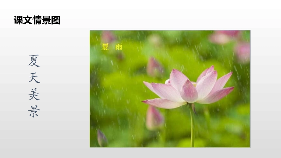 识字《春夏秋冬》PPT课件[部编版一年级语文下册]_第3页