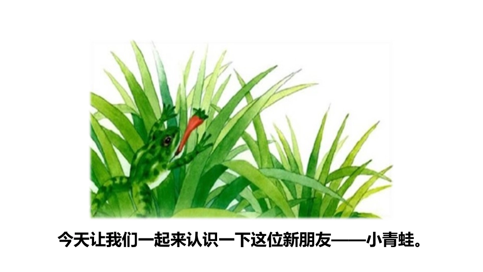 识字《小青蛙》PPT(第一课时)PPT课件[部编版一年级语文]_第3页