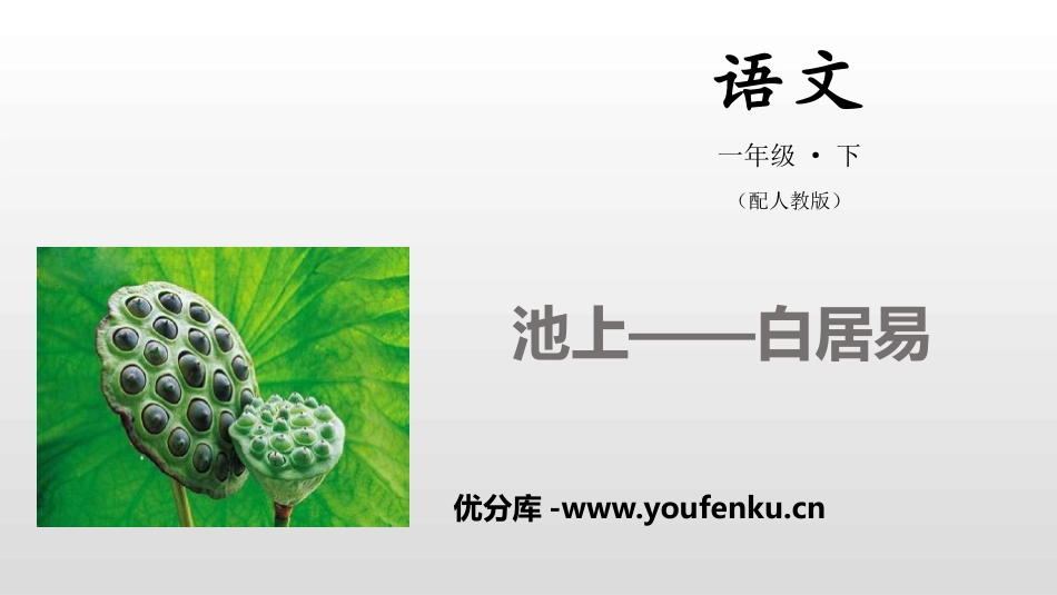 《小池》PPT课件[部编版一年级语文下册]_第1页