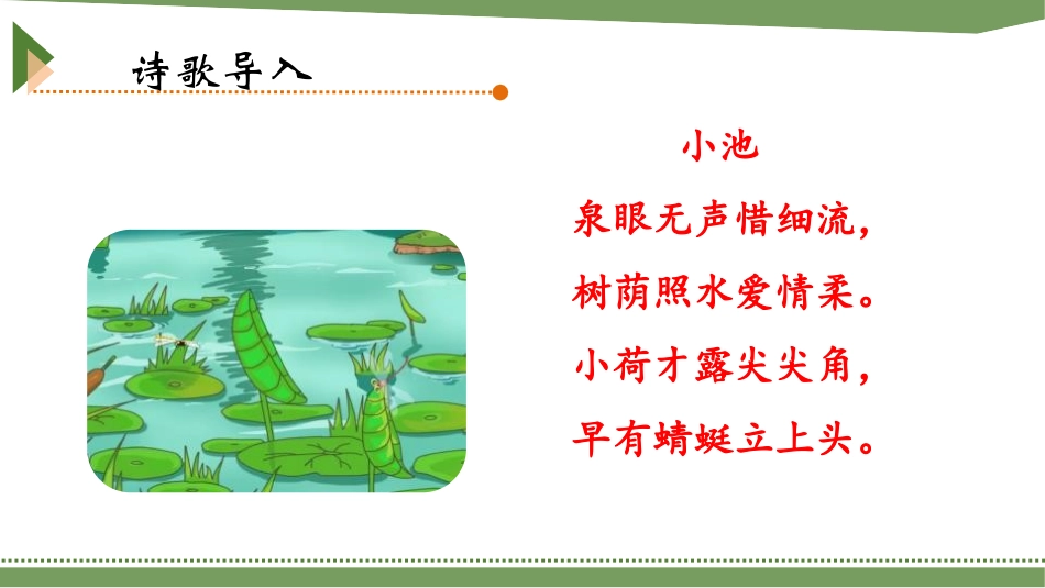 《荷叶圆圆》PPT课件[部编版一年级语文下册]_第2页