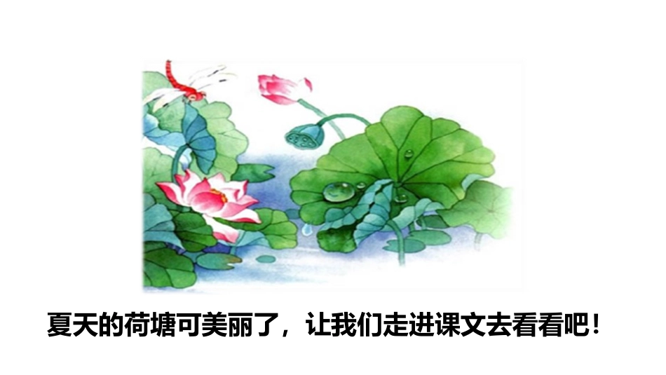 《荷叶圆圆》PPT(第一课时)PPT课件[部编版一年级语文]_第3页