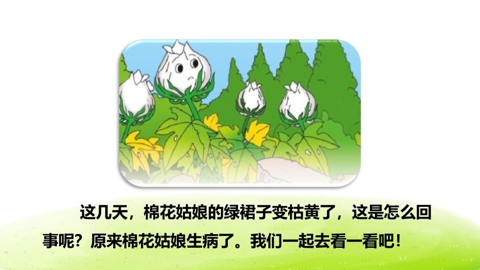 《棉花姑娘》PPT(第一课时)PPT课件[部编版一年级语文]_第3页