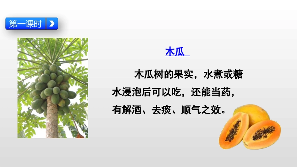 《咕咚》PPT课件[部编版一年级语文下册]_第2页