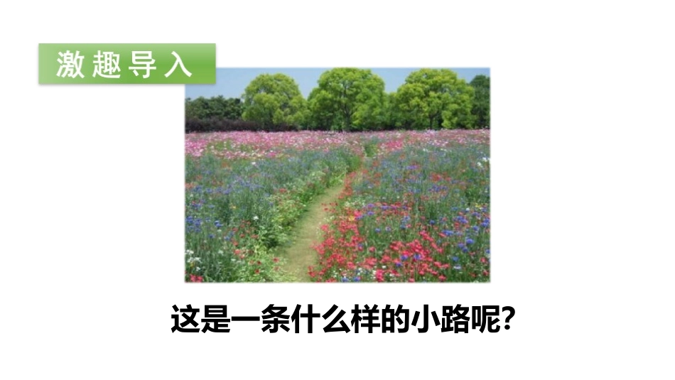 《开满鲜花的小路》PPT(第一课时)PPT课件[部编版二年级语文]_第2页