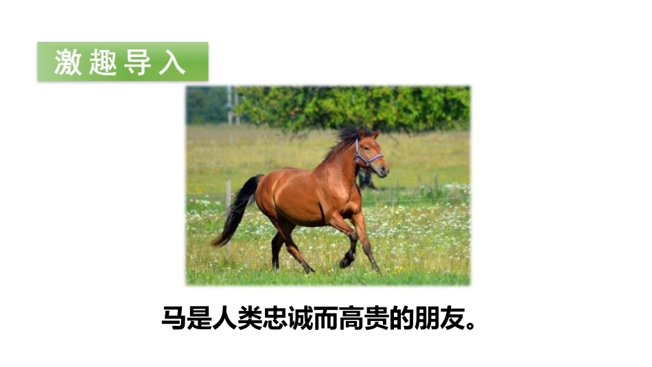 《一匹出色的马》PPT(第一课时)PPT课件[部编版二年级语文]_第2页