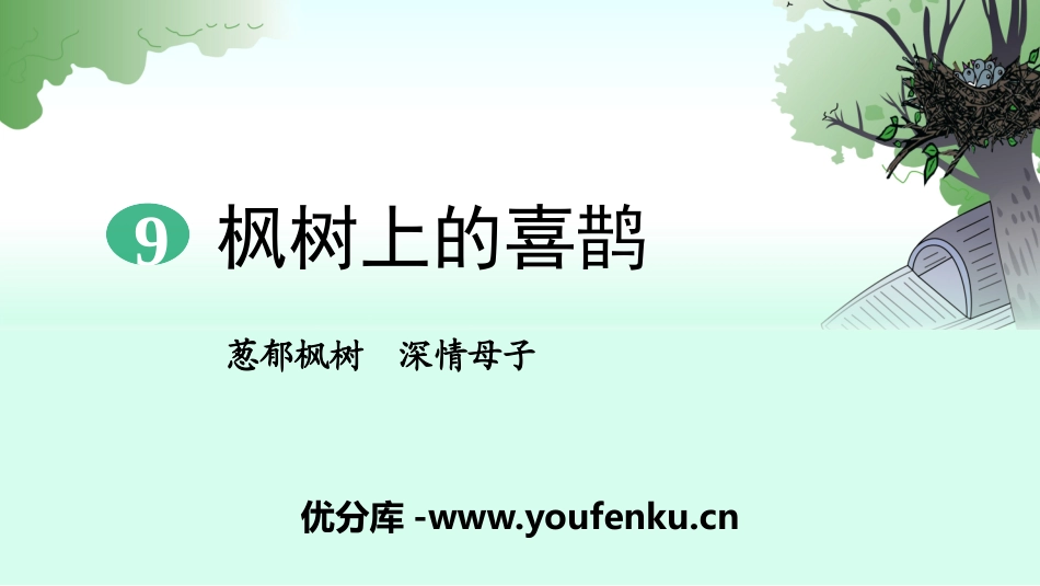《枫树上的喜鹊》PPT课件[部编版二年级语文下册]_第1页