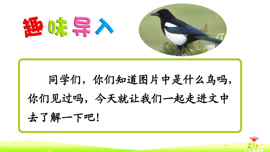 《枫树上的喜鹊》PPT课件[部编版二年级语文下册]_第2页
