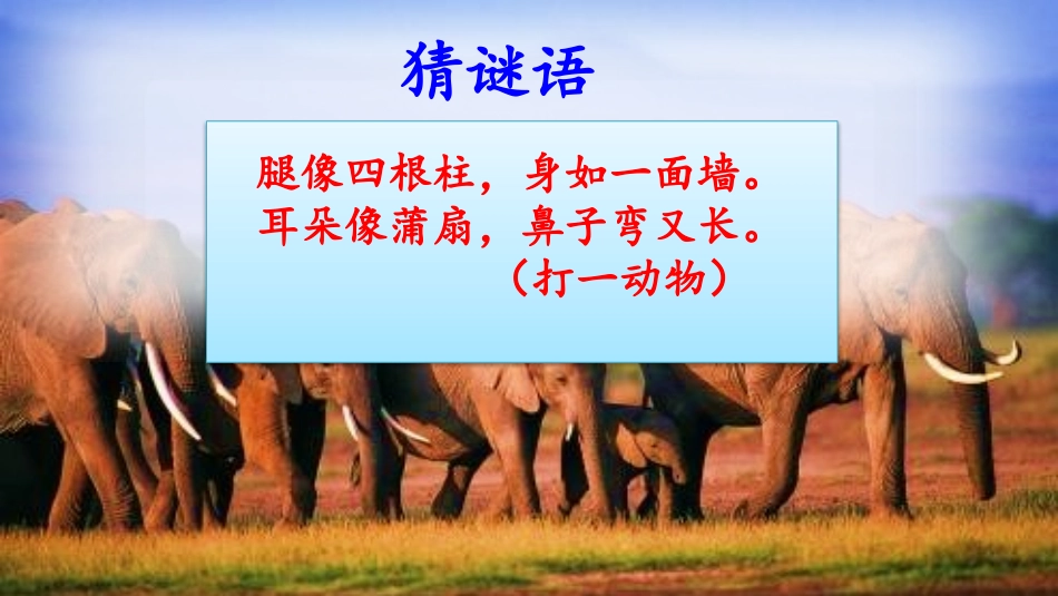 《大象的耳朵》PPT课件[部编版二年级语文下册]_第1页