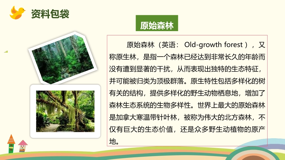 《祖先的摇篮》PPT教学课件[部编版二年级语文下册]_第3页
