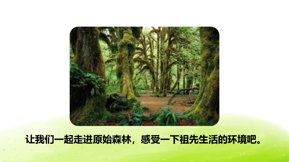 《祖先的摇篮》PPT(第一课时)PPT课件[部编版二年级语文]_第3页