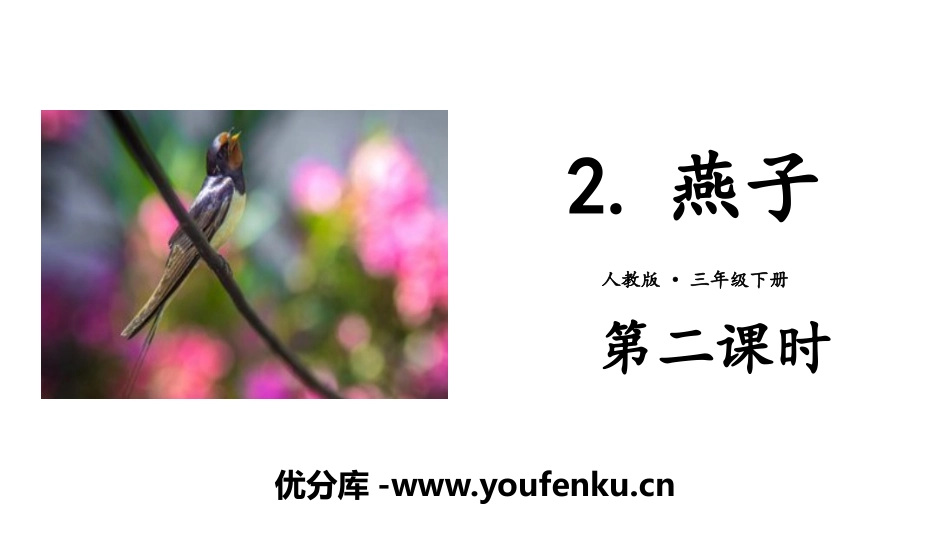 《燕子》PPT(第二课时)PPT课件[部编版三年级语文下册]_第1页