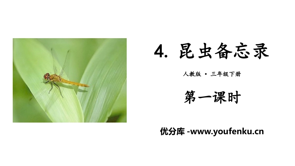 《昆虫备忘录》PPT(第一课时)PPT课件[部编版三年级语文]_第1页