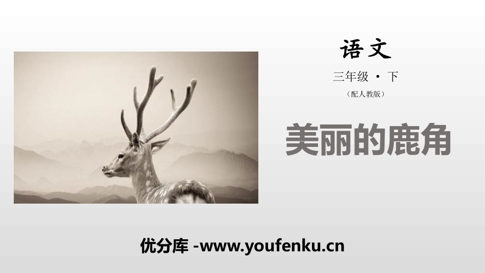 《美丽的鹿角》PPT课件[部编版三年级语文下册]_第1页
