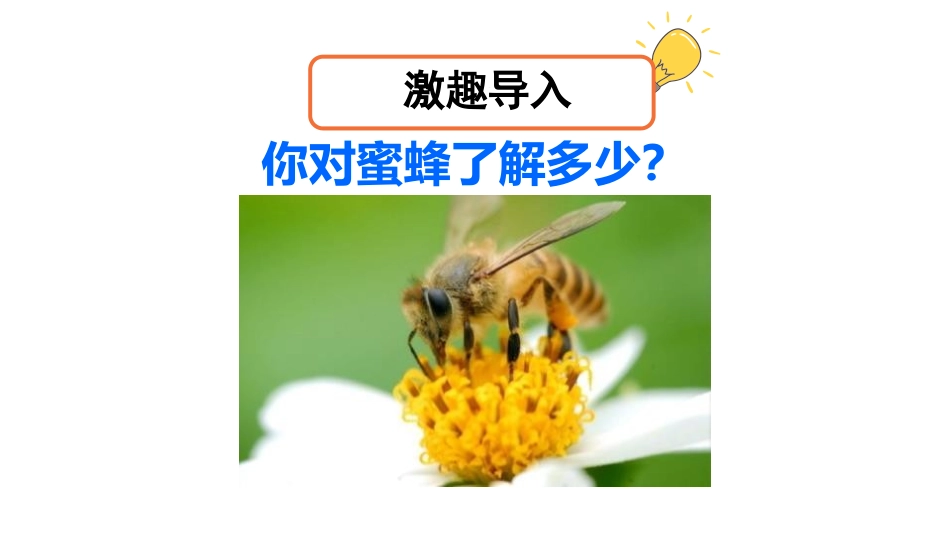 《蜜蜂》PPT(第一课时)PPT课件[部编版三年级语文下册]_第2页