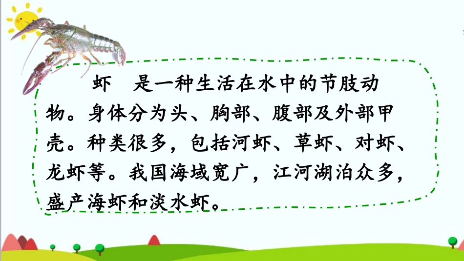 《小虾》PPT免费课件[部编版三年级语文下册]_第3页