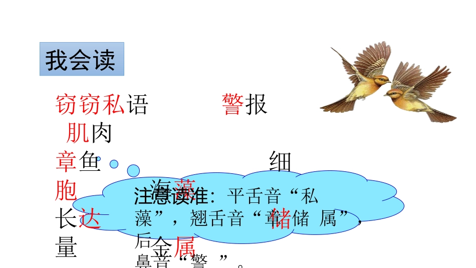 《海底世界》PPT免费课件[部编版三年级语文下册]_第3页