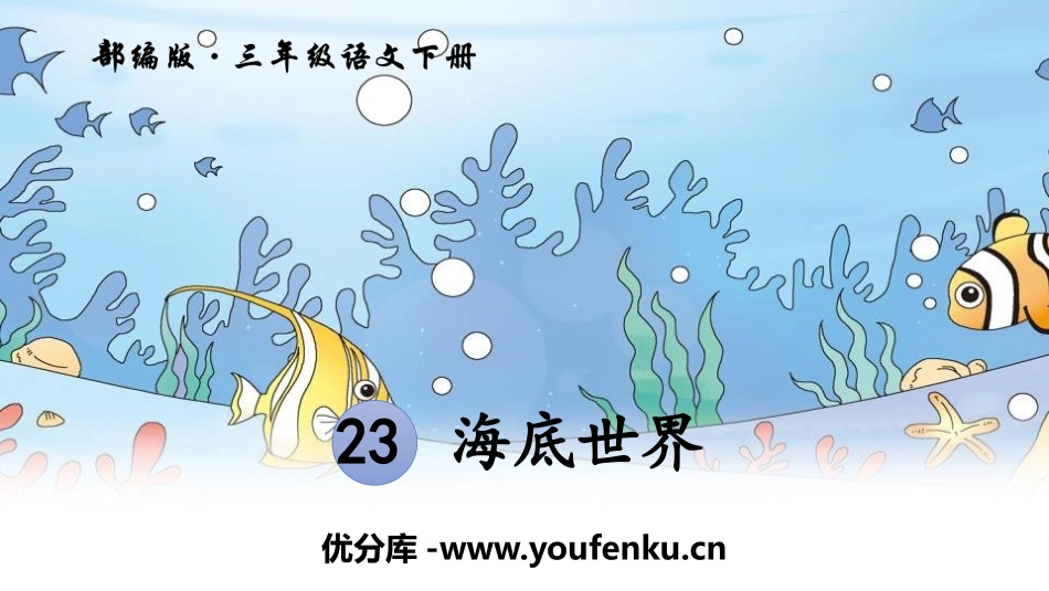 《海底世界》PPT精品课件[部编版三年级语文下册]_第1页
