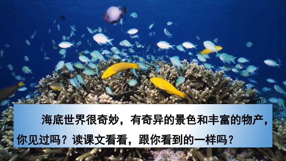 《海底世界》PPT精品课件[部编版三年级语文下册]_第2页