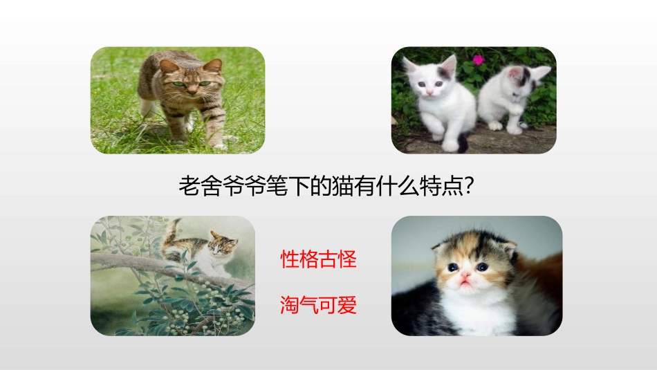 《猫》PPT(第2课时)PPT课件[部编版四年级语文下册]_第3页
