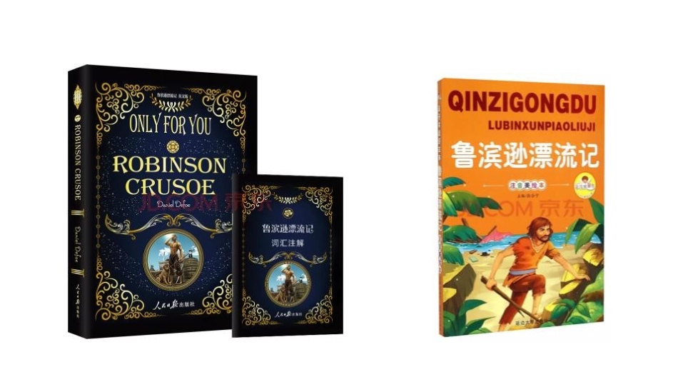 《鲁滨逊漂流记》PPT教学课件[部编版六年级语文下册]_第3页