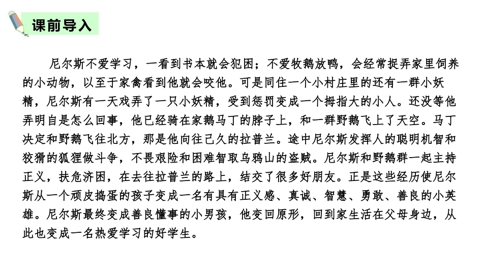 《骑鹅旅行记》PPT教学课件[部编版六年级语文下册]_第2页
