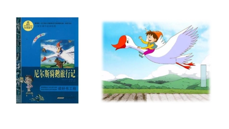 《骑鹅旅行记》PPT教学课件[部编版六年级语文下册]_第3页