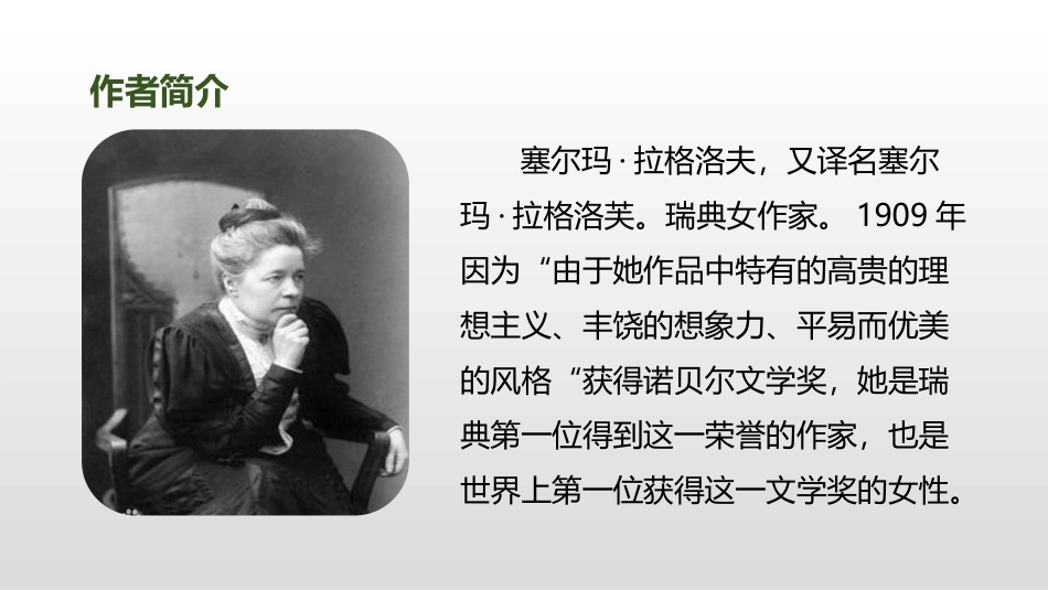 《骑鹅旅行记》PPT免费课件[部编版六年级语文下册]_第3页