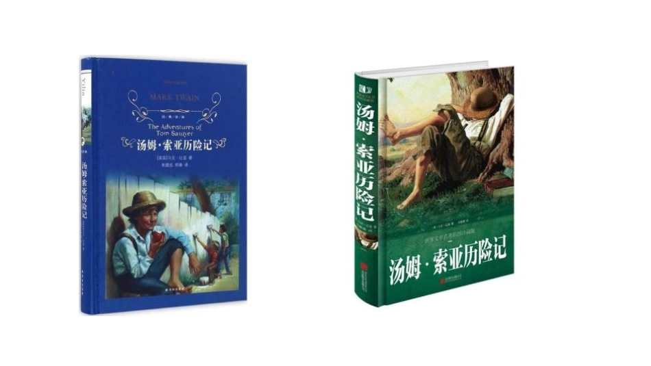 《汤姆·索亚历险记》PPT课件[部编版六年级语文下册]_第2页