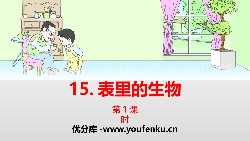 《表里的生物》PPT(第1课时)PPT课件[部编版六年级语文]_第1页