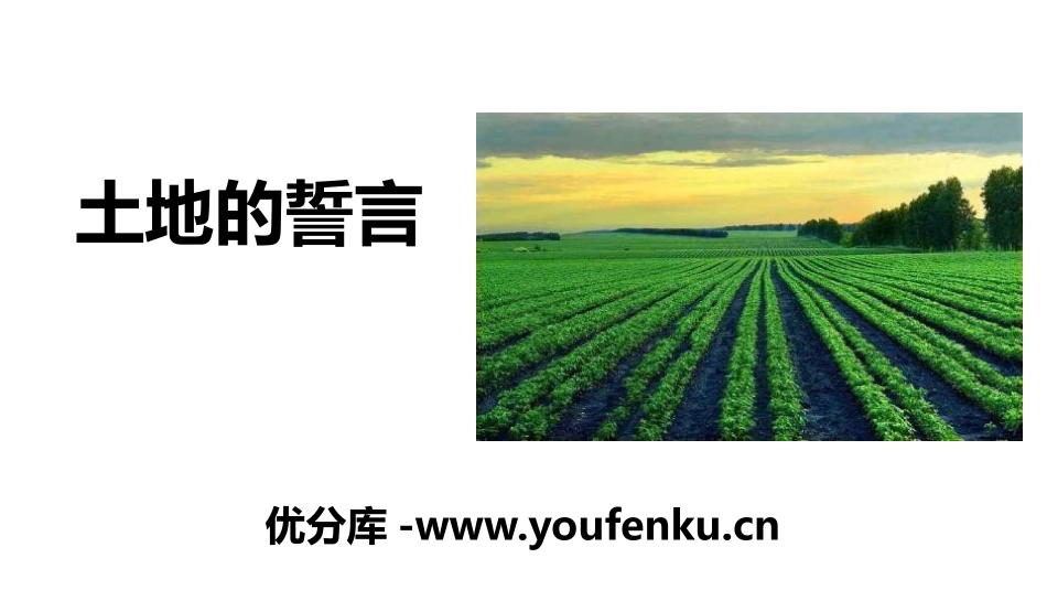《土地的誓言》PPT教学课件[部编版七年级语文下册]_第1页