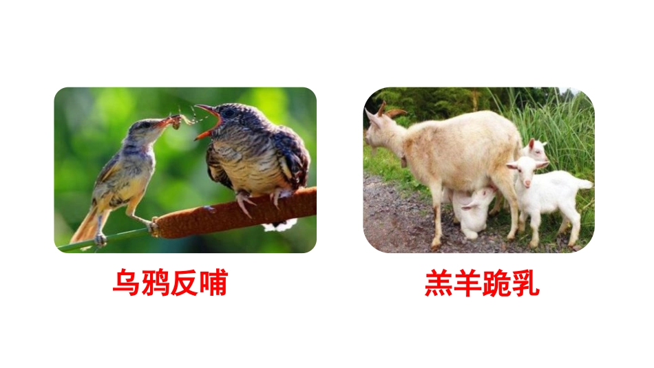 《孝亲敬老》PPT课件[部编版七年级语文下册]_第3页