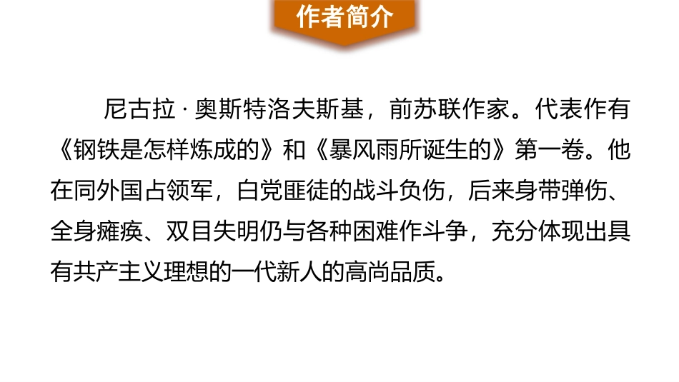 《钢铁是怎样炼成的》摘抄和做笔记PPT课件[部编版八年级语文]_第3页