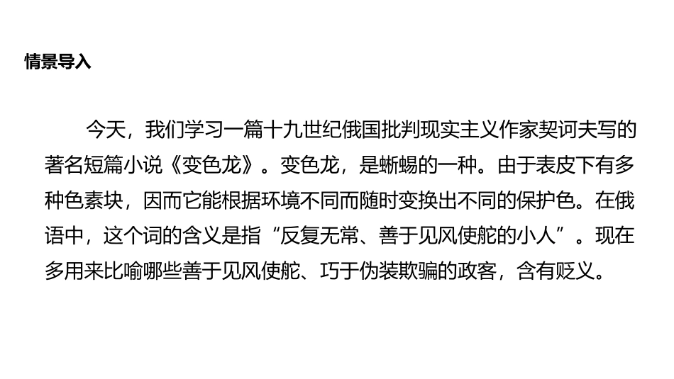 《变色龙》PPT精品课件[部编版九年级语文下册]_第2页