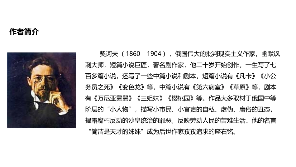 《变色龙》PPT精品课件[部编版九年级语文下册]_第3页