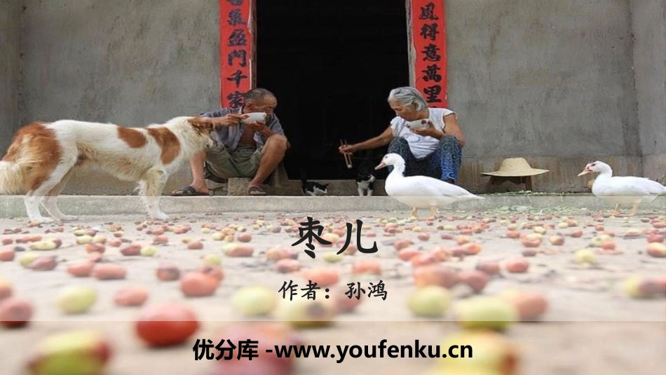 《枣儿》PPT精品课件[部编版九年级语文下册]_第1页