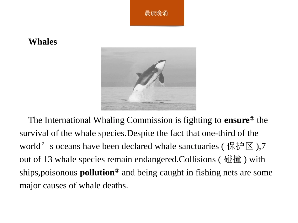 《Wildlife Protection》Section A PPT课件_第3页