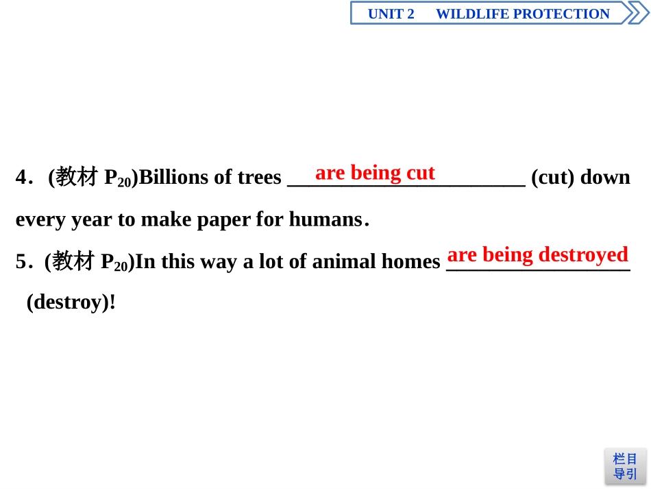 《Wildlife Protection》SectionⅢ PPT课件_第2页
