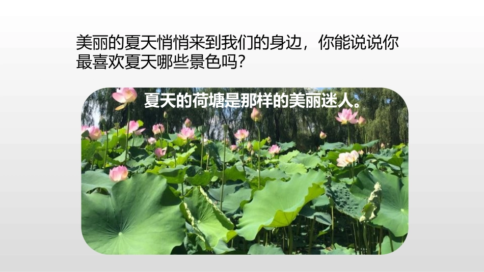 《池上》古诗二首PPT课件[部编版一年级语文下册]_第3页