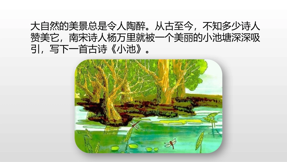 《小池》古诗二首PPT课件[部编版一年级语文下册]_第3页