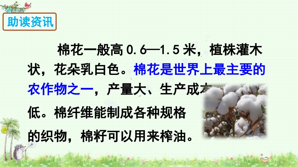 《棉花姑娘》PPT免费课件[部编版一年级语文下册]_第3页