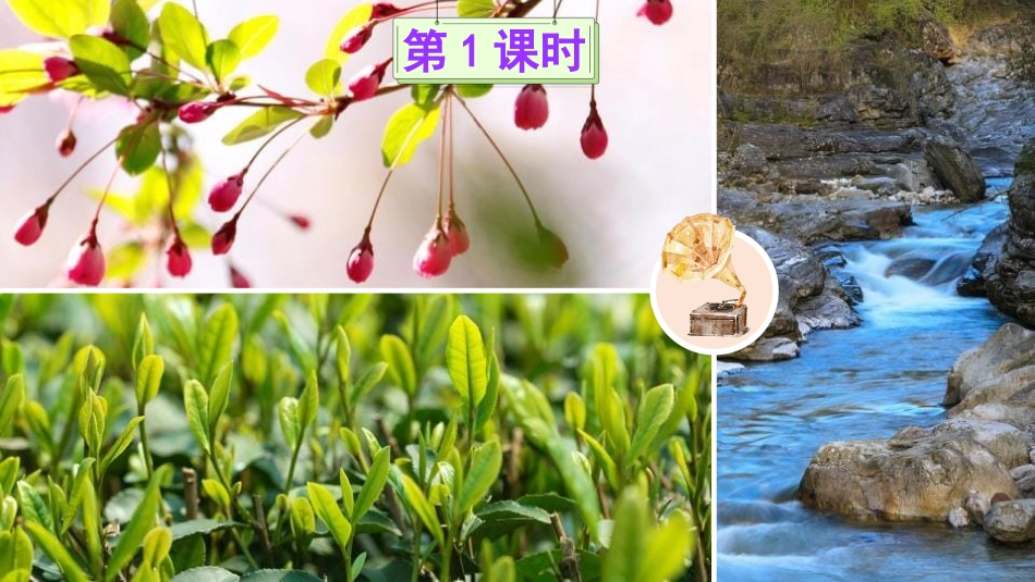 《找春天》PPT免费课件[部编版二年级语文下册]_第2页