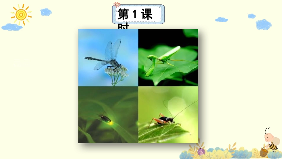 《我是一只小虫子》PPT免费课件[部编版二年级语文下册]_第2页