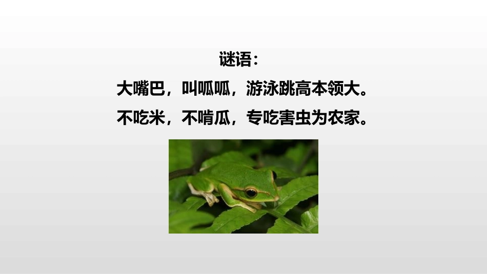 《青蛙卖泥塘》PPT课件[部编版二年级语文下册]_第2页
