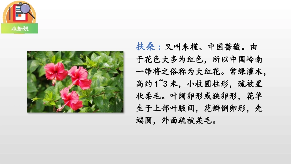 《羿射九日》PPT精品课件[部编版二年级语文下册]_第3页