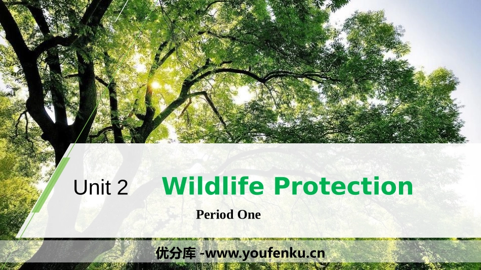《Wildlife Protection》Period One PPT课件_第1页