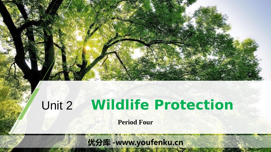 《Wildlife Protection》Period Four PPT课件_第1页