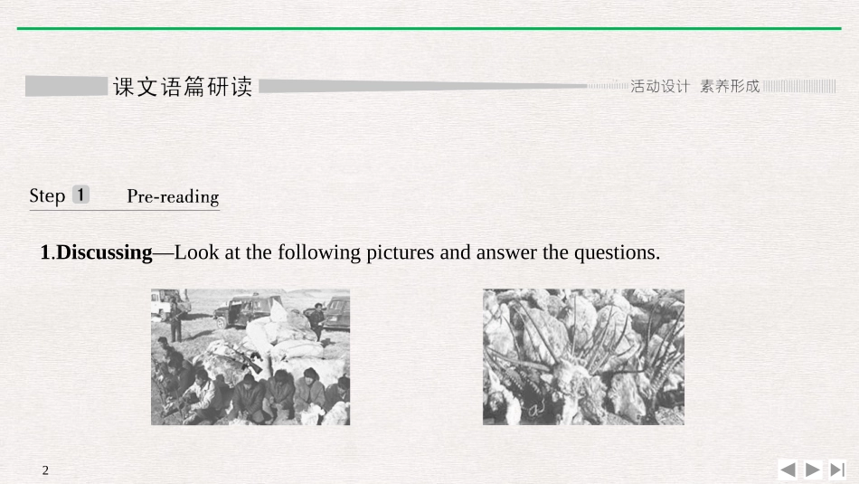 《Wildlife Protection》SectionⅡ PPT课件_第2页