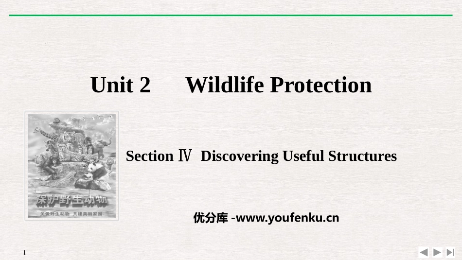 《Wildlife Protection》SectionⅣ PPT课件_第1页