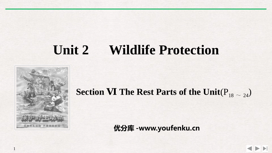 《Wildlife Protection》SectionⅥ PPT课件_第1页