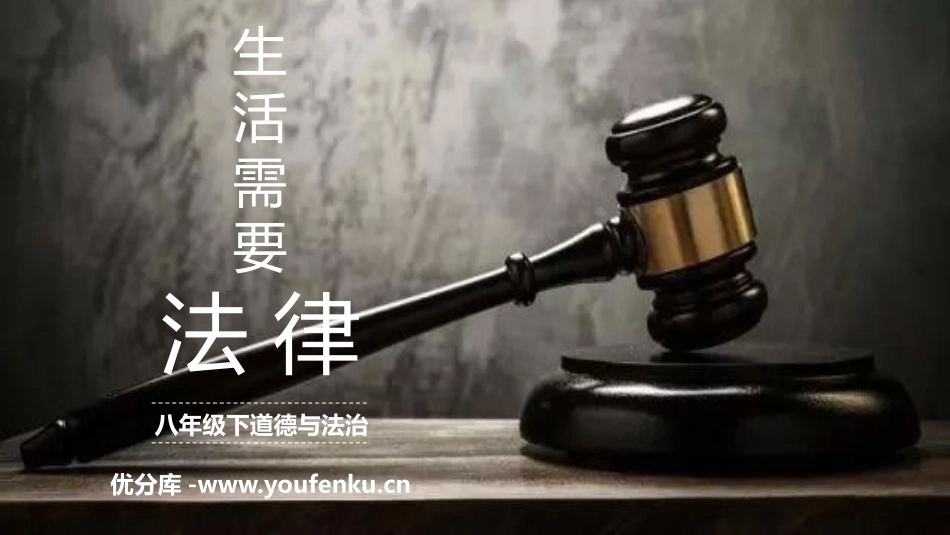 《生活需要法律》PPT优秀课件[七年级道德与法治下册]_第1页